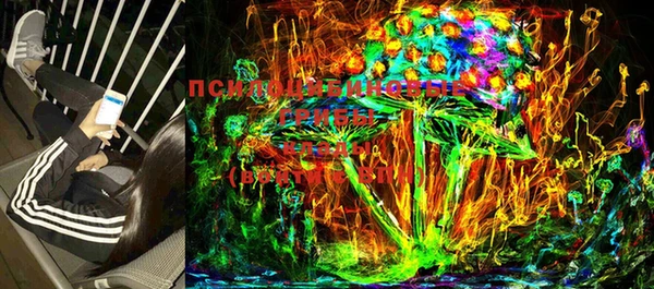 прущие крисы Киренск