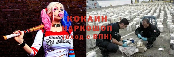 прущие крисы Киренск